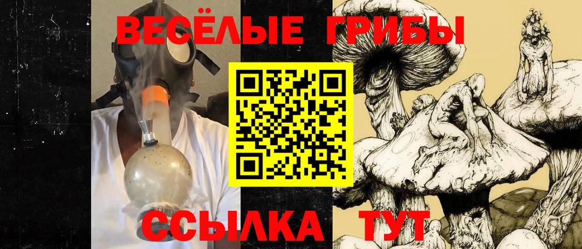 Псилоцибиновые грибы MAGIC MUSHROOMS Туймазы
