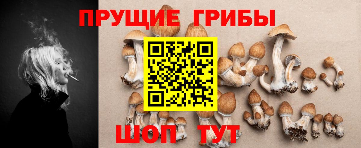 Галлюциногенные грибы GOLDEN TEACHER  Вход с VPN  Галлюциногенные грибы ЛСД  Туймазы 